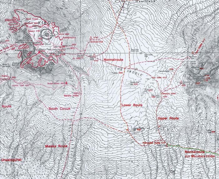 2. Tag Mandara Hut 2675m - Horombo Hut 3725m ca. 11 km, 4 h