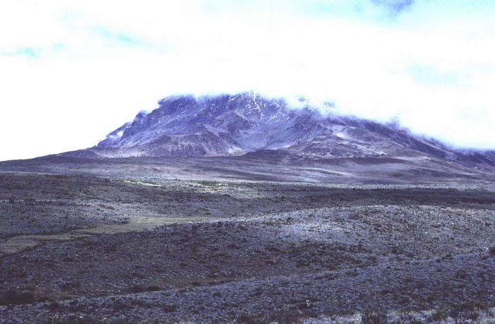 Kibo, Kibosattel