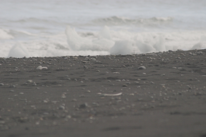 Strand von J&ouml;kulsa