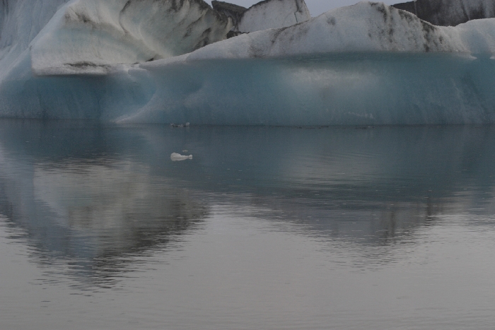 J&ouml;kulsarlon - Gletschersee