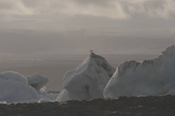 J&ouml;kulsarlon - Gletschersee