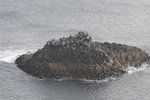 Arnarstapi