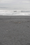 Vik