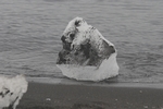 Strand von J&ouml;kulsa