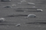 Strand von J&ouml;kulsa