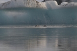 J&ouml;kulsarlon - Gletschersee