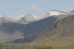 Haliu