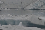 J&ouml;kulsarlon - Gletschersee