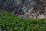 Schloss Miramare