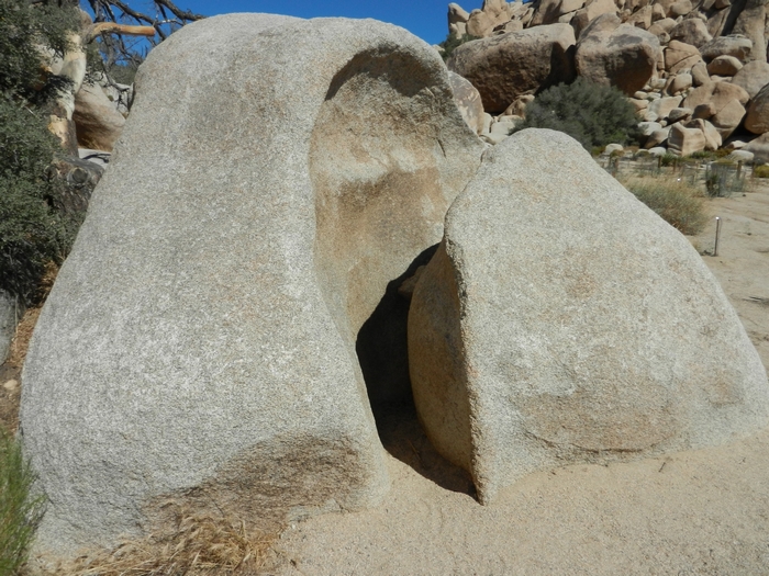 Joshua Tree NP Lost Horse Valley