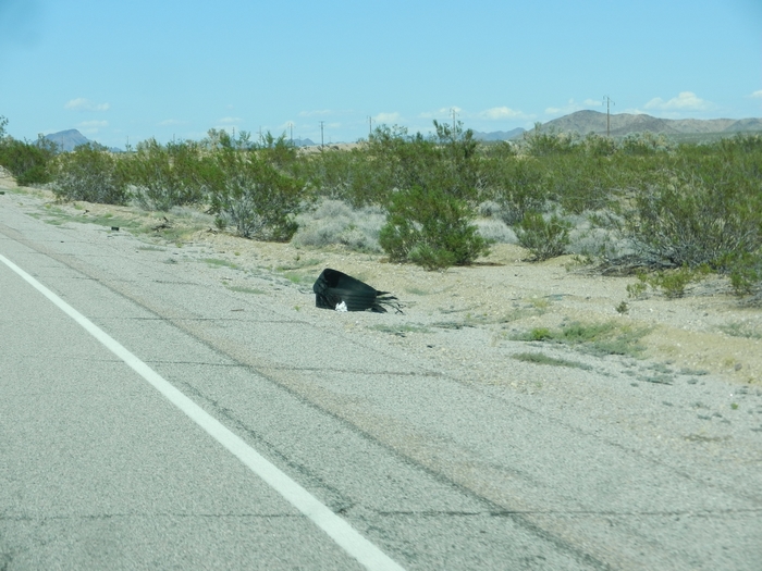 Route 66