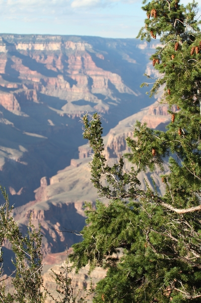Grand-Canyon