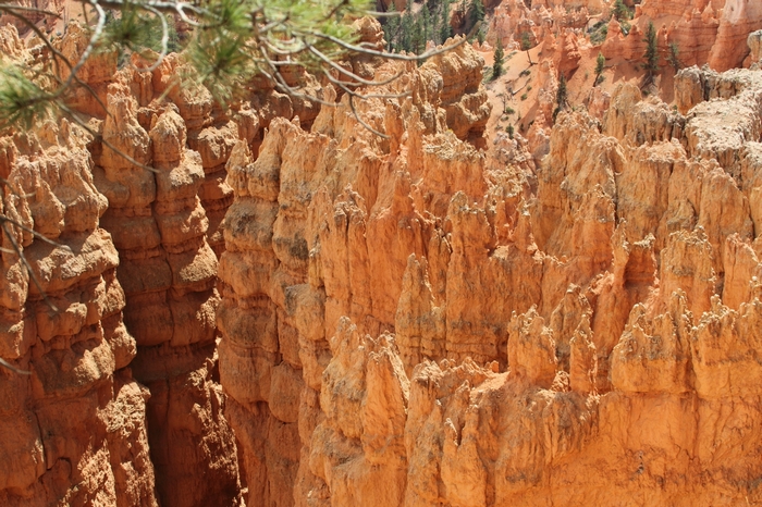 Bryce Canyon
