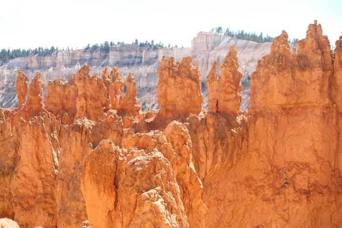 Bryce Canyon