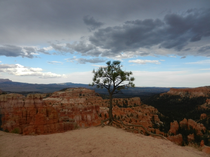 Bryce Canyon