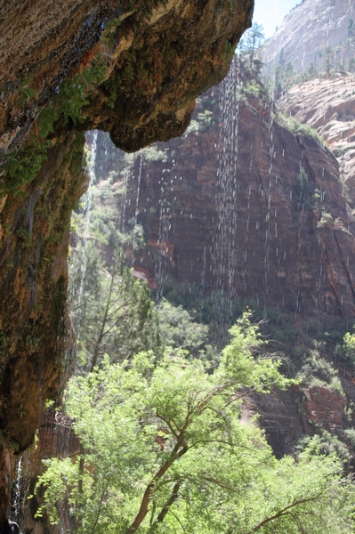 Zion Park.H&auml;ngende G&auml;rten