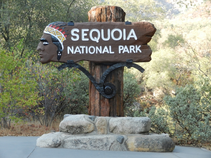 Sequoia NP