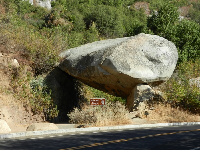 Sequoia NP