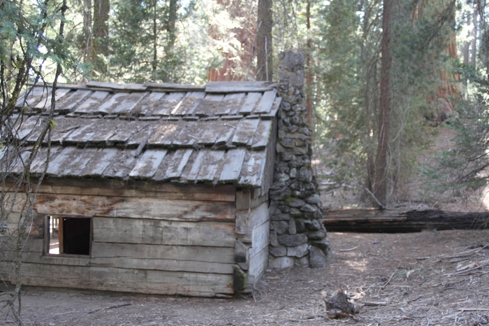 Sequoia NP