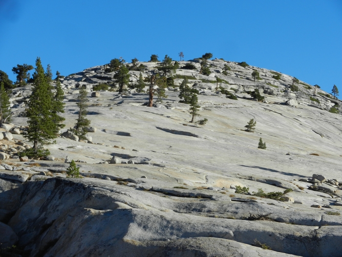 Yosemite NP.Hwy 120