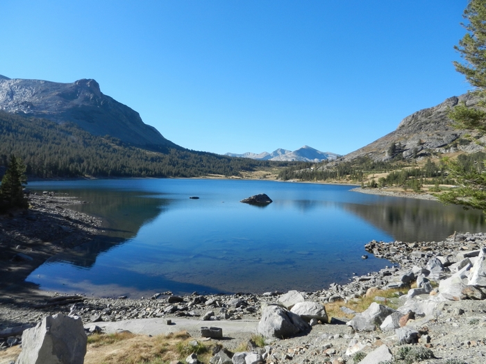 Yosemite NP.Hwy 120