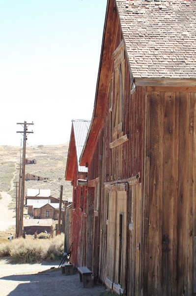 Bodie