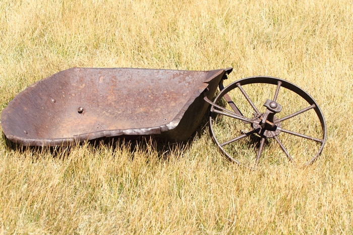 Bodie