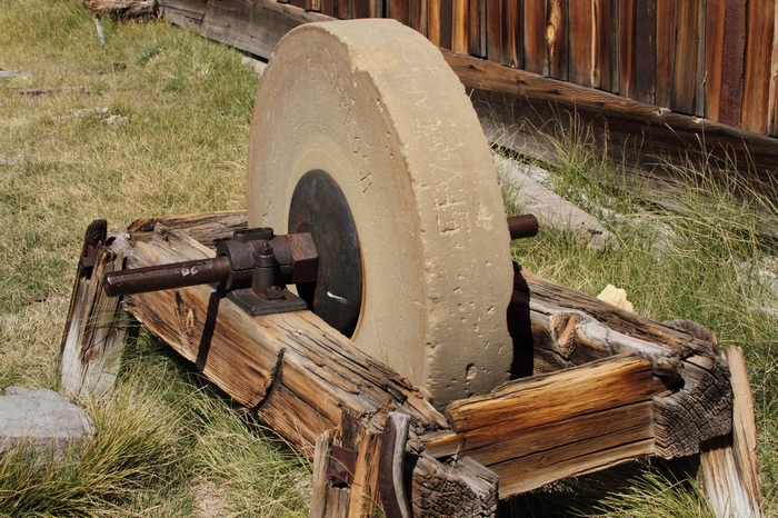 Bodie