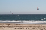 Ano Nuevo Bay