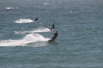 Ano Nuevo Bay