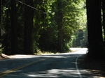 Hwy 1 Cabrillo