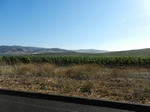 Hwy 1