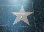 Hollywood Blvd LA