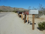 29 Palms
