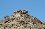Joshua Tree NP