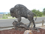 Route 66.Seligman