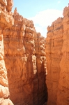 Bryce Canyon