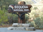 Sequoia NP