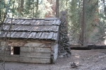 Sequoia NP