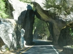 Yosemite NP