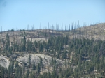 Yosemite NP