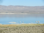 Mono Lake Park