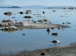 Mono Lake Park
