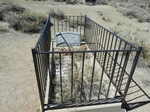 Bodie