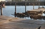 San Francisco.Pier 39