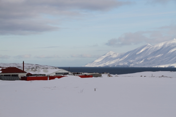 Dalvik