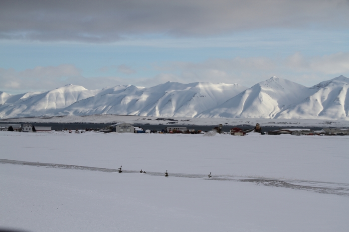Dalvik