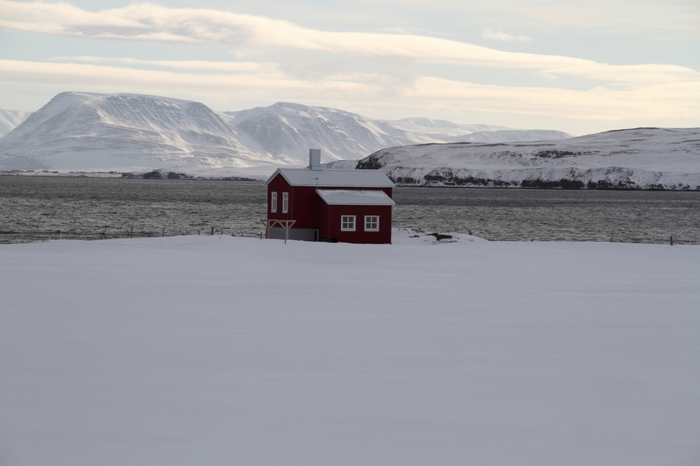 Dalvik