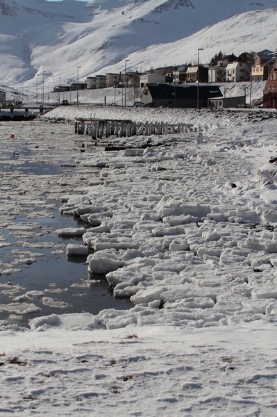 Siglufj&ouml;rdur