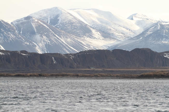 Bei Hvitserkur